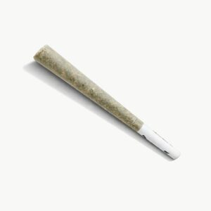 Pre Rolled Cone