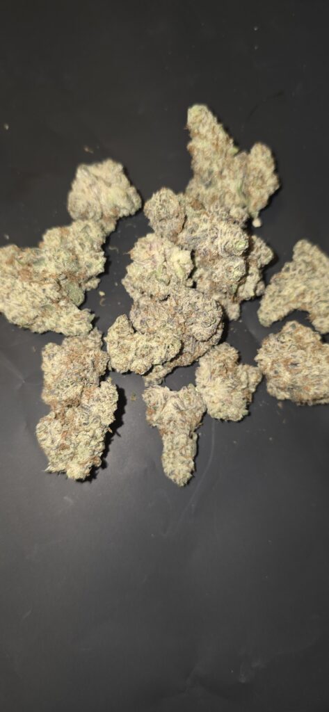 Devil Driver (Sativa)