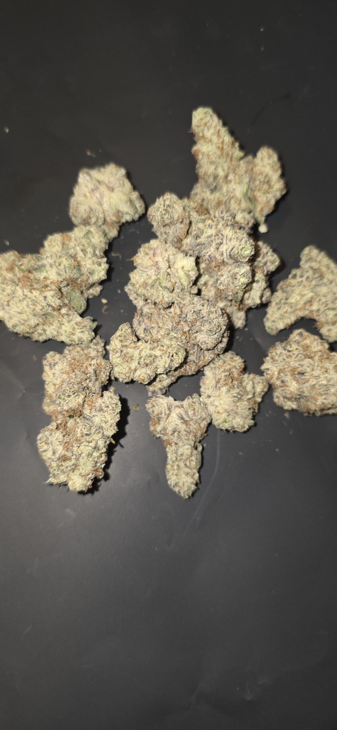 Devil Driver (Sativa)
