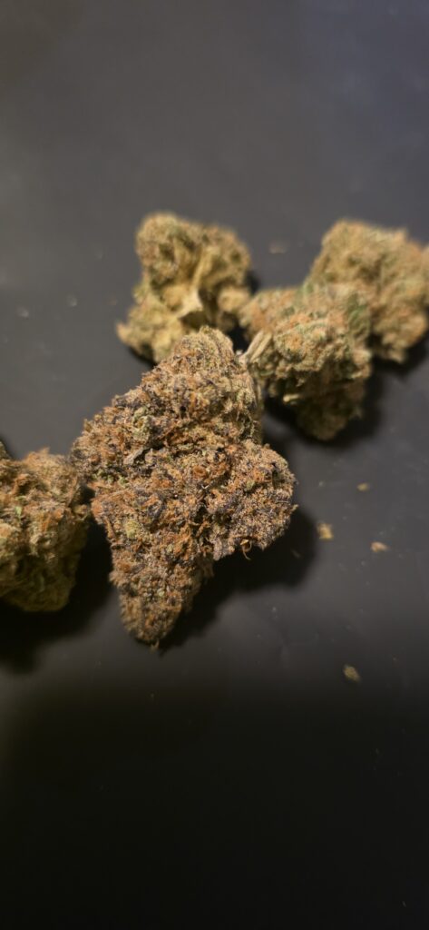 Lime Pie (Sativa)