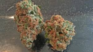Glass Slipper