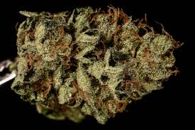 Bruce Banner #3