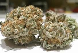 Cherry Skunk