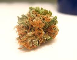 Cherry Skunk