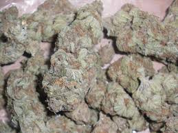 Grapefruit