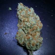 Vanilla Kush